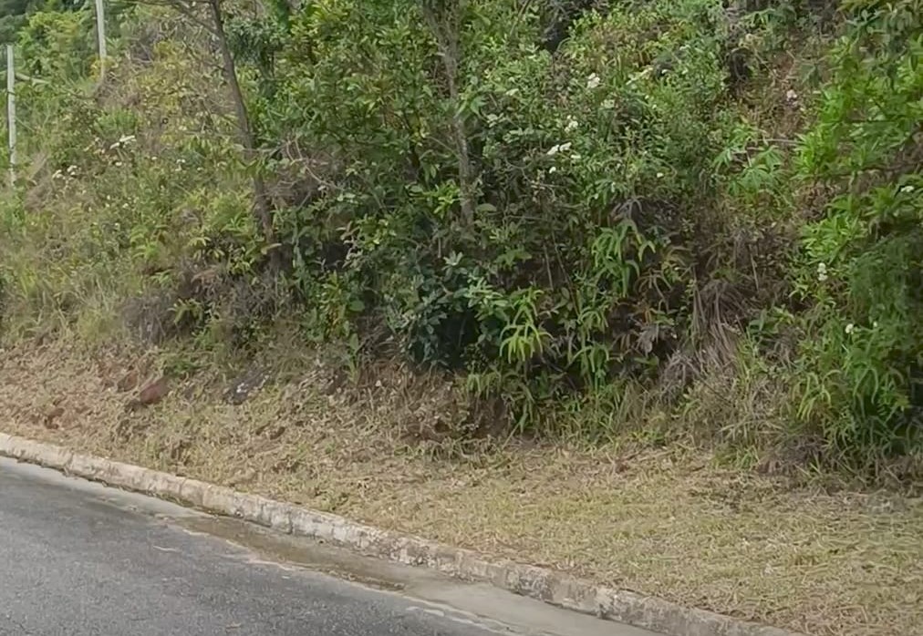 LOTE A VENDA NO BAIRRO VEREDA DAS GERAES EM NOVA LIMA COM 1.160 METROS — foto 3